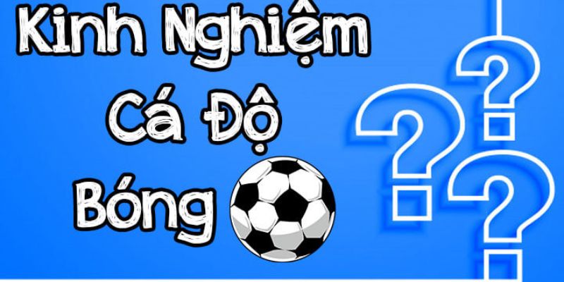 Kinh nghiệm bắt kèo thể thao